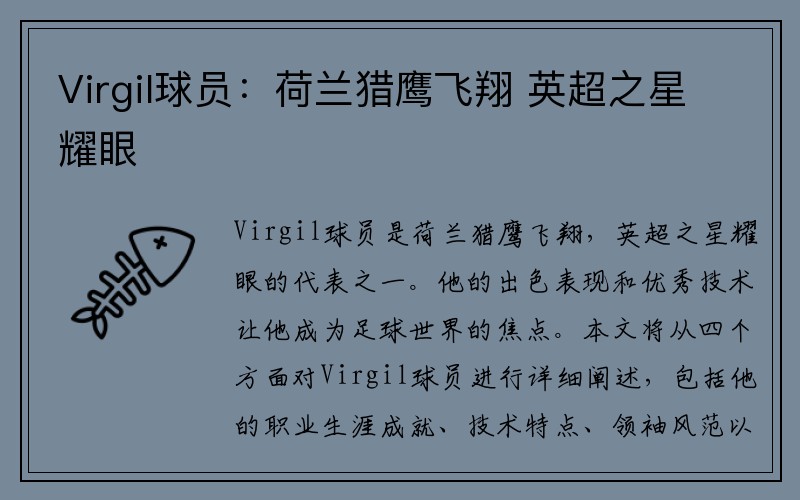 Virgil球员：荷兰猎鹰飞翔 英超之星耀眼